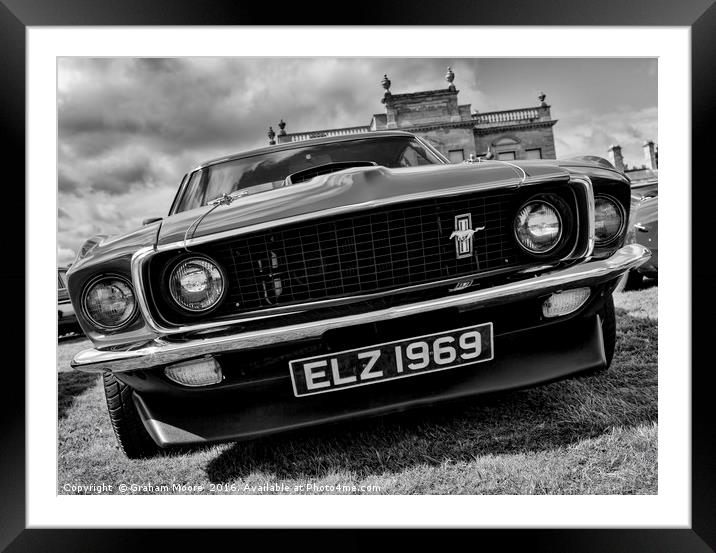 Mustang front Framed Mounted Print by Graham Moore