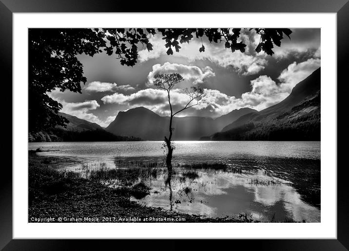 Buttermere tree Framed Mounted Print by Graham Moore