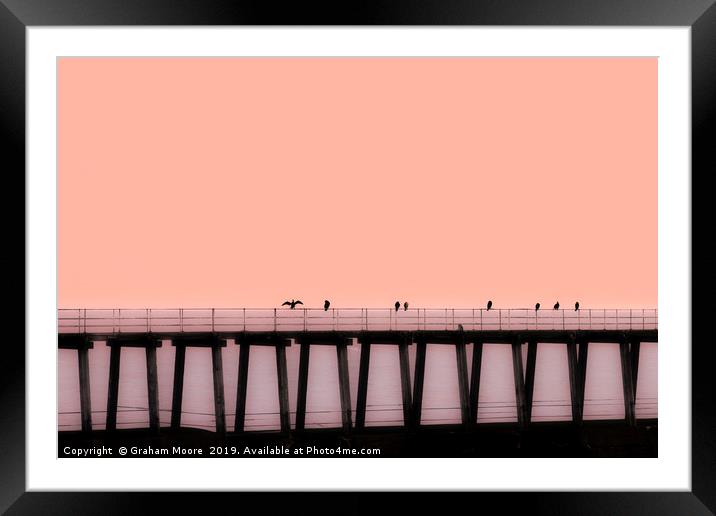 Sea birds on pier Framed Mounted Print by Graham Moore