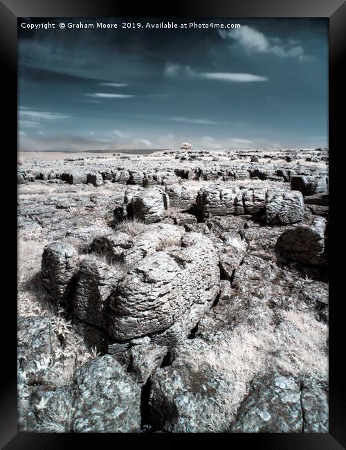 Limestone pavement and lone tree infrared Framed Print by Graham Moore