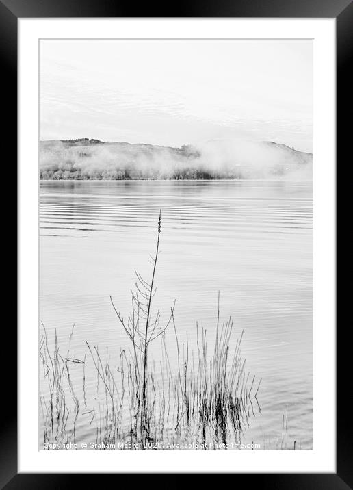 Lake Windermere reeds monochrome Framed Mounted Print by Graham Moore