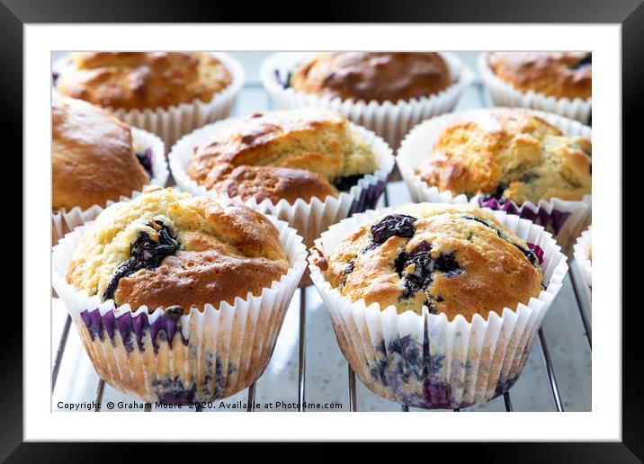 Fresh home baked blueberry muffins Framed Mounted Print by Graham Moore