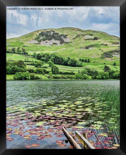 Loweswater with lily pads Framed Print by Graham Moore
