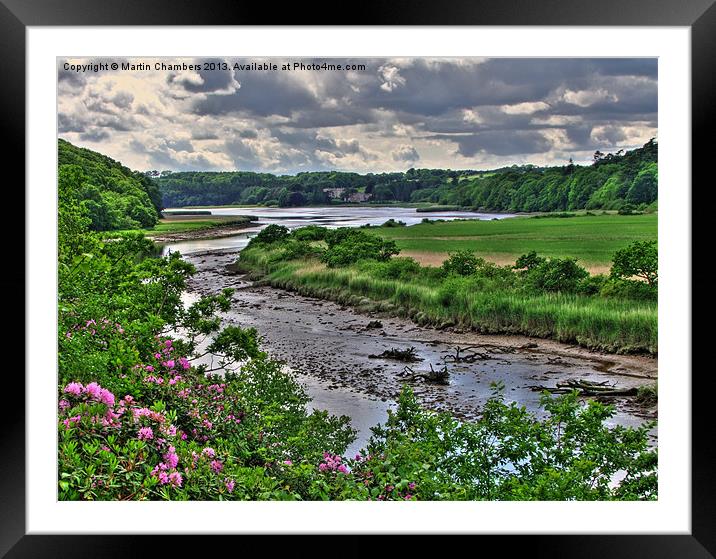 Reed Beds from Canaston Woods Framed Mounted Print by Martin Chambers