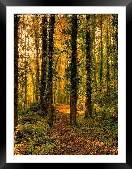   Woodland Path Framed Mounted Print by Martin Chambers