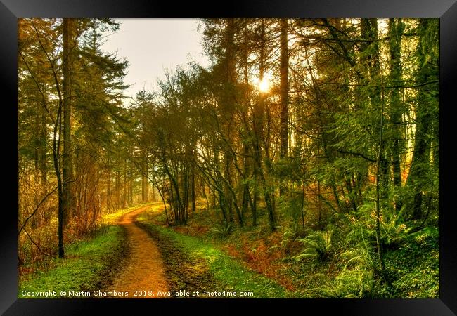 Path to the light Framed Print by Martin Chambers