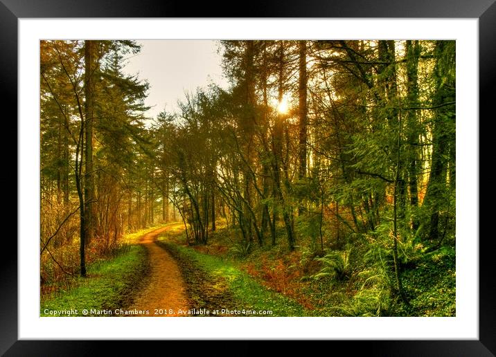 Path to the light Framed Mounted Print by Martin Chambers