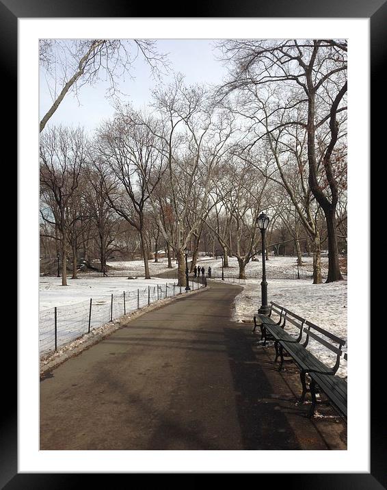 Central Park Snow scene Framed Mounted Print by Stuart Barnes