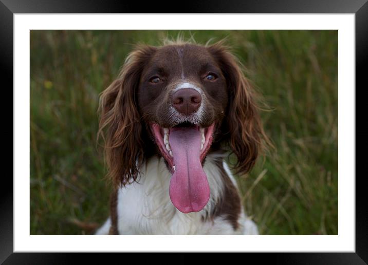  Sheer Happiness (Part Two) Framed Mounted Print by Duncan Mathews