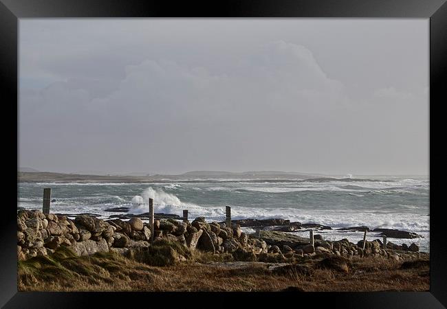  Please Keep Behind The Fence Framed Print by Duncan Mathews