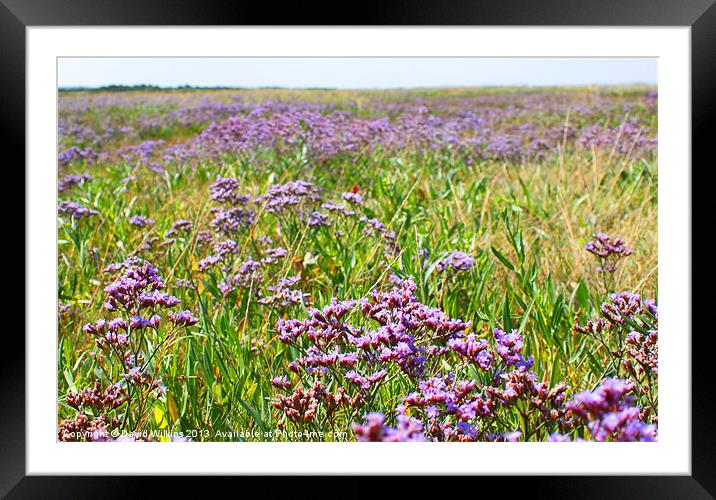 Sea Lavender, Morston Framed Mounted Print by David Wilkins