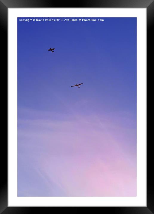 Gliding in the Sun Framed Mounted Print by David Wilkins