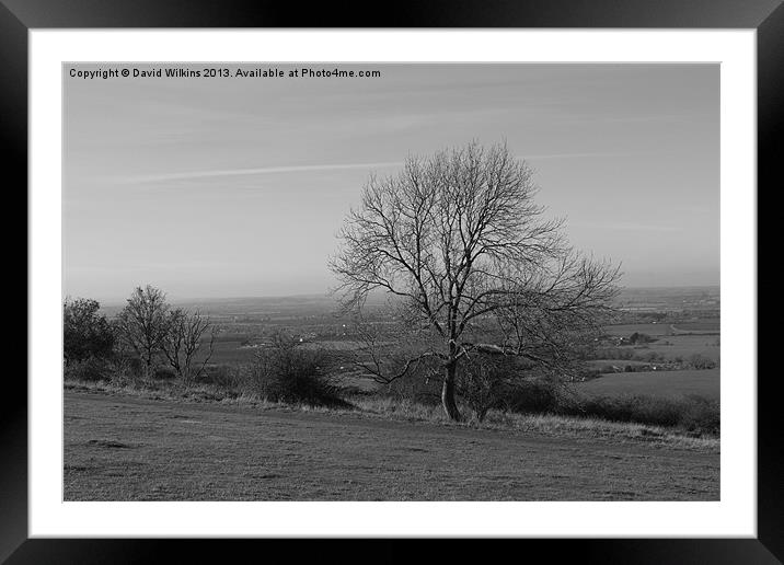 Dunstable Downs Framed Mounted Print by David Wilkins