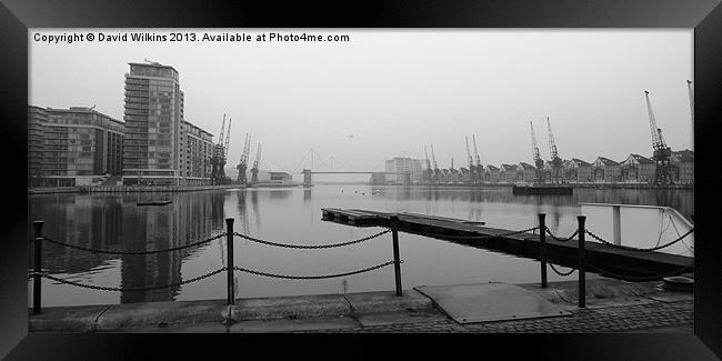 London, Royal Victoria Docks Framed Print by David Wilkins