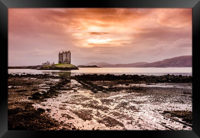 Castle Stalker, Argyll, Scotland Framed Print by Scott Taylor