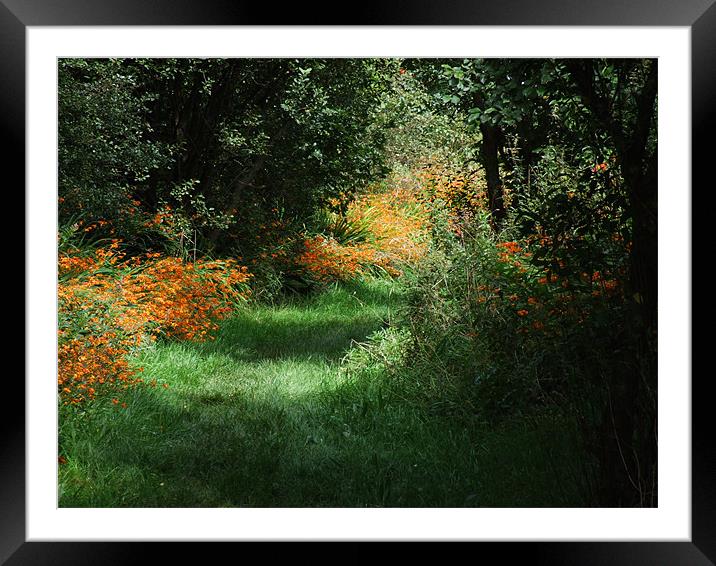 green paths Framed Mounted Print by TERENCE O'NEILL