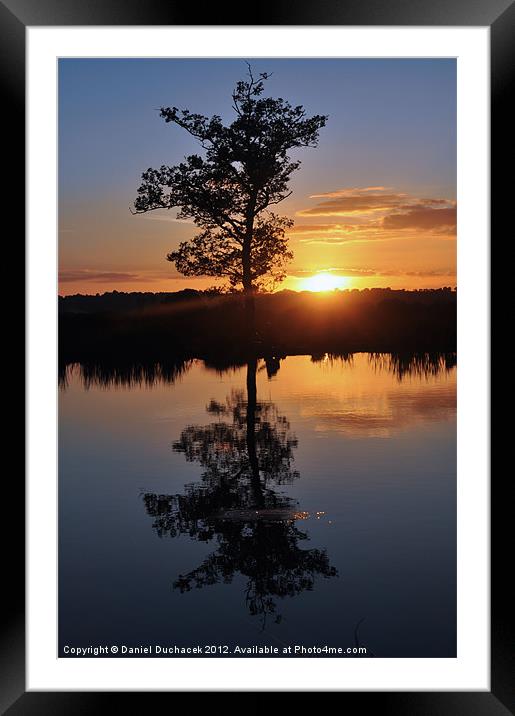 sunset and tree reflection Framed Mounted Print by Daniel Duchacek