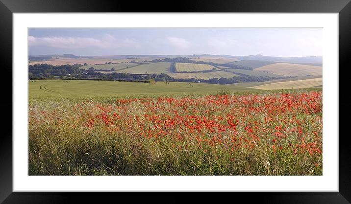 poppy field Framed Mounted Print by Daniel Duchacek