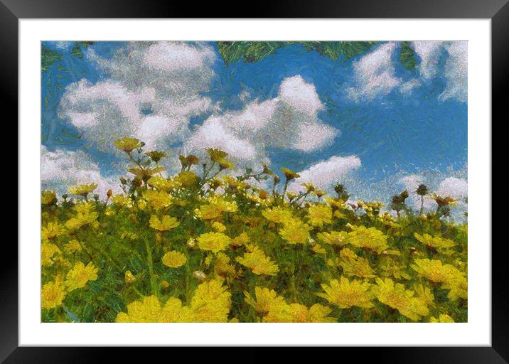 Tansy Blooms Framed Mounted Print by Michael Goyberg