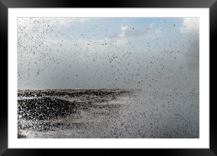 Taste of the Sea Framed Mounted Print by Michael Goyberg