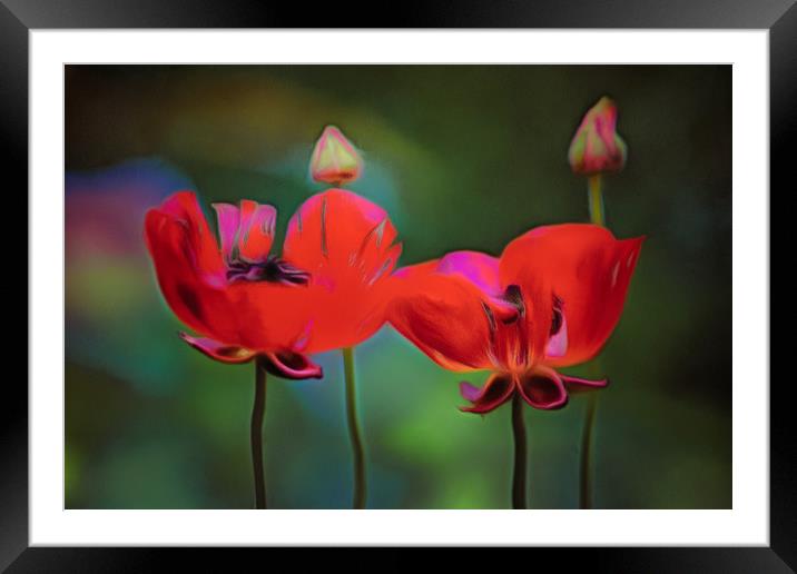 Like anything else, this too shall pass.... Framed Mounted Print by Michael Goyberg
