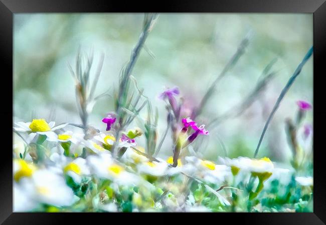 Sunny Flowers Framed Print by Michael Goyberg