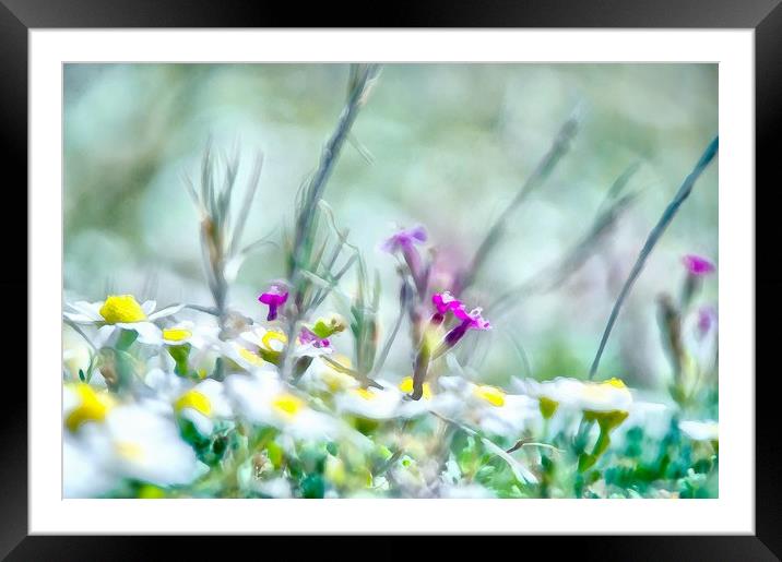 Sunny Flowers Framed Mounted Print by Michael Goyberg