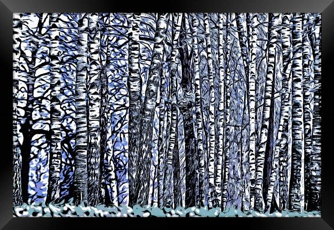 Birch Grove Framed Print by Michael Goyberg
