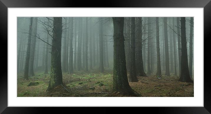 Macclesfield Forest Framed Mounted Print by Richard Cooper
