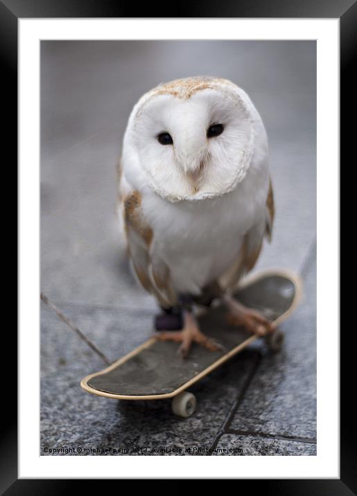 Skateboarding owl Framed Mounted Print by michael perry