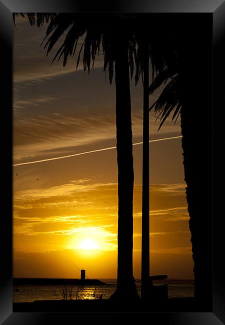 Porto Sunset Framed Print by Vitor Da Silva