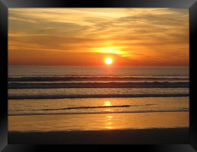 San Diego sunset Framed Print by Lori Allan