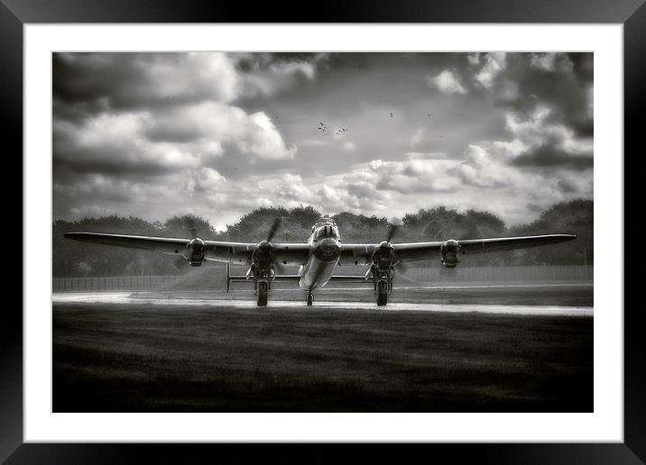  Sitting Pretty Framed Mounted Print by Jason Green