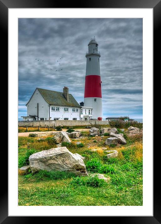 Portland Bill Lighthouse  Framed Mounted Print by Jason Green