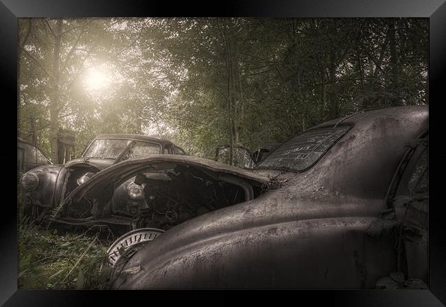 Car grave yard Framed Print by andrew bagley