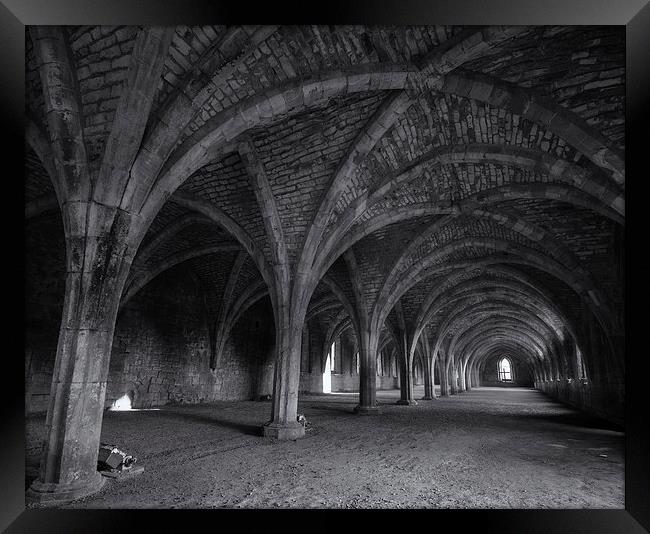 Fountains Abbey. Framed Print by andrew bagley