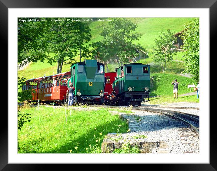 Brienz Rothorn Railway Framed Mounted Print by William Kempster