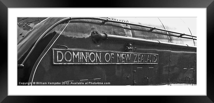 A4 No.4492 Dominion Of New Zealand (Bittern) Framed Mounted Print by William Kempster
