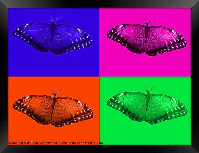 Digital Art Butterfly Framed Print by William Kempster