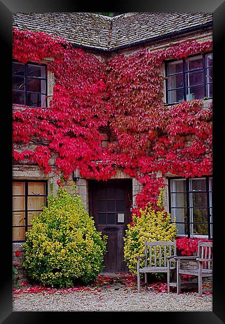 Ivy Cottage Framed Print by Scott  Paul