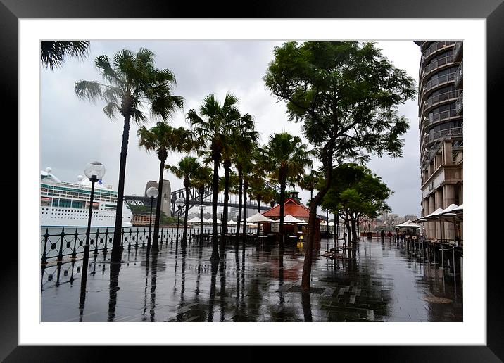 Wet Sidney! Framed Mounted Print by sumit siddharth
