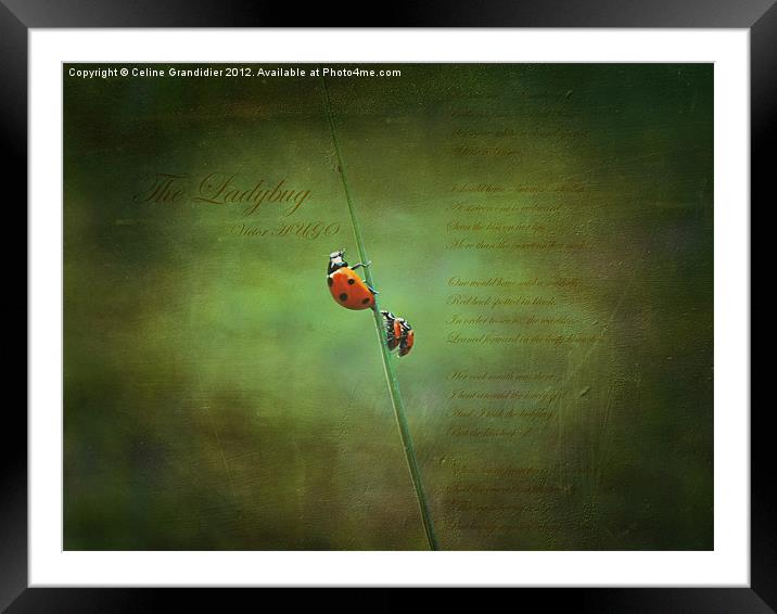 Poem for ladybugs Framed Mounted Print by Celine B.