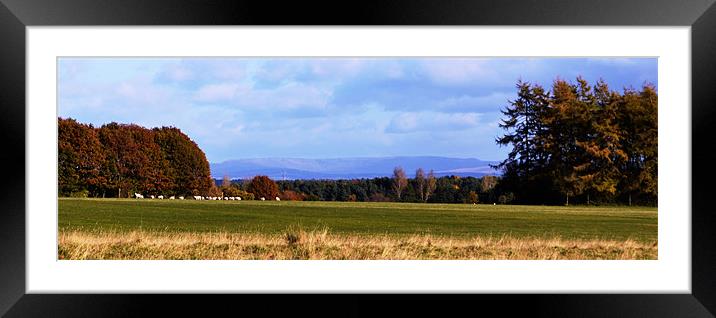 Cheshire Views Framed Mounted Print by Andy Freeman