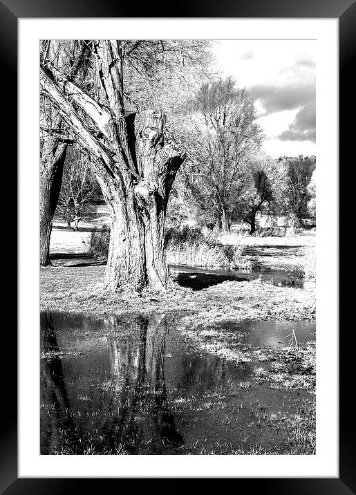 Monochrome Reflection Framed Mounted Print by Laura Witherden