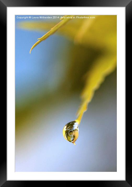 Droplet Framed Mounted Print by Laura Witherden