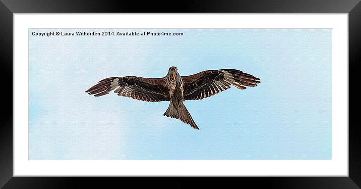Red Kite Canvas Framed Mounted Print by Laura Witherden