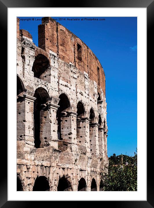 Colosseum  Framed Mounted Print by Laura Witherden