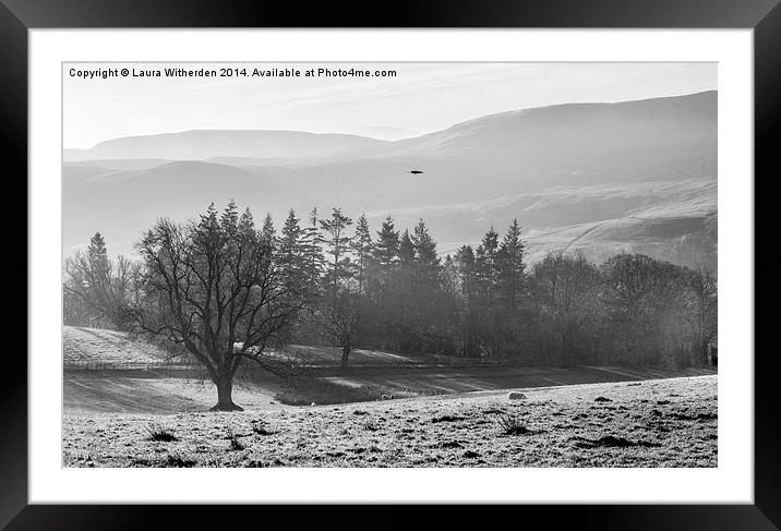 Misty Morning Framed Mounted Print by Laura Witherden