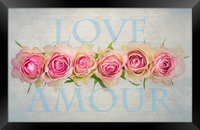 Love Amour Framed Print by Abdul Kadir Audah