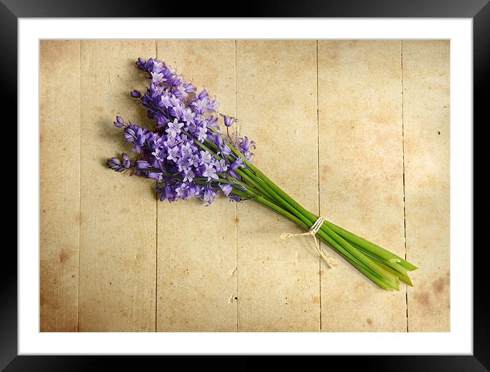 Bluebells bouquet Framed Mounted Print by Abdul Kadir Audah